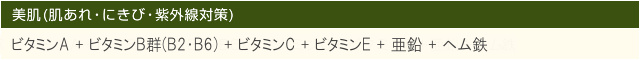 美肌(肌あれ・にきび・紫外線対策) ビタミンA＋ビタミンB群(B2・B6)＋ビタミンC＋ビタミンE＋亜鉛＋ヘム鉄