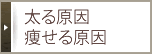 太る原因・痩せる原因