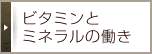 ビタミンと ミネラルの働き