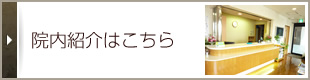 院内紹介はこちら